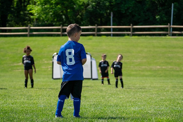 仅令人惊叹 仅令人惊叹