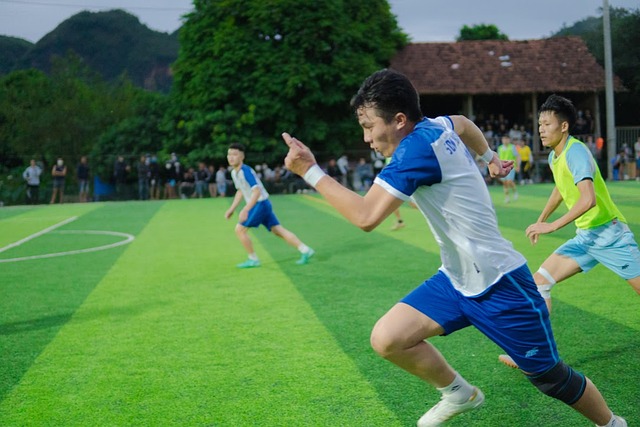 以补充后卫 以补充后卫