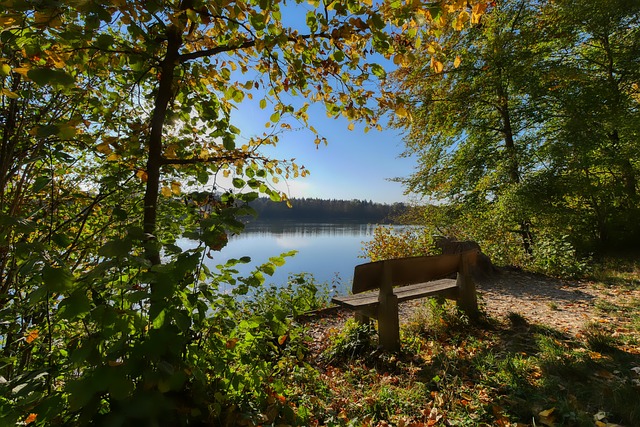 NBA最新排名公布！湖人牢固第四，雷霆奋勇争先，创造纪录并列第一.