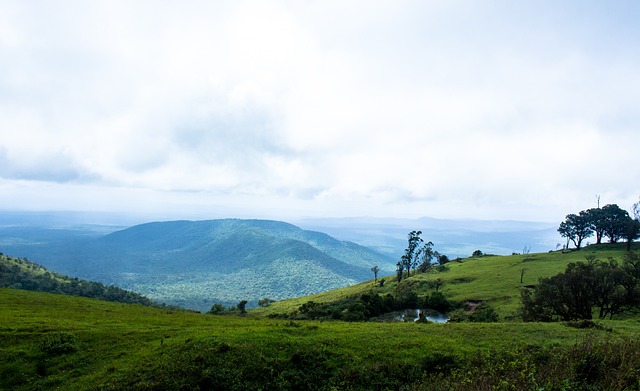 防守表现也 防守表现也